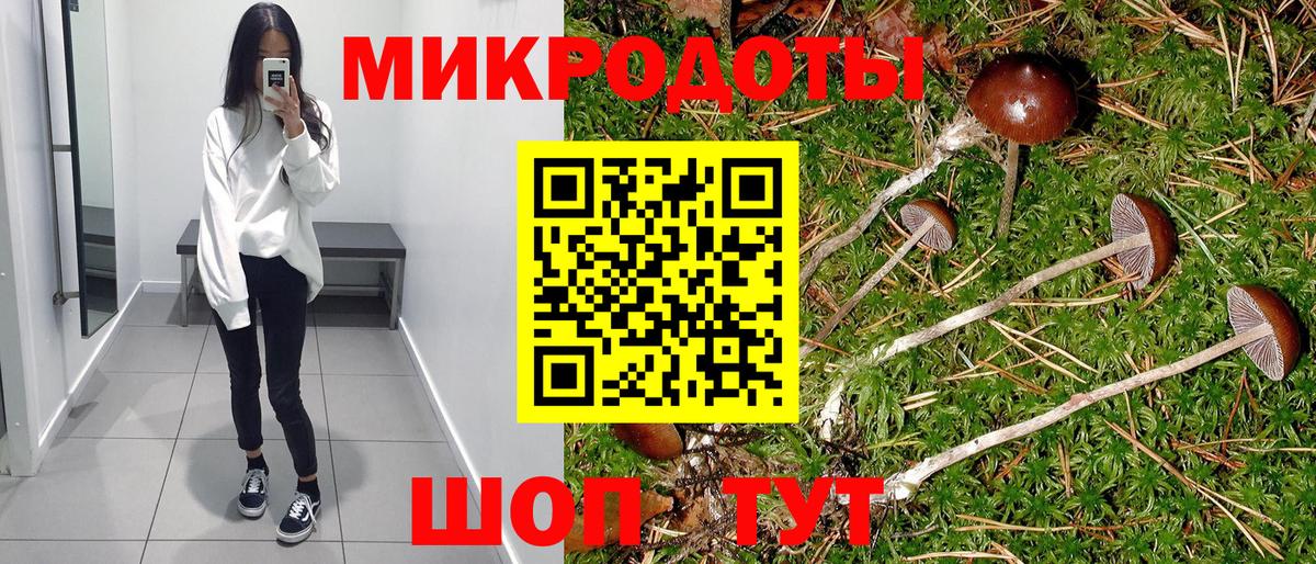 Галлюциногенные грибы Psilocybine cubensis  Вход с VPN  Владимир  Псилоцибиновые грибы MAGIC MUSHROOMS 