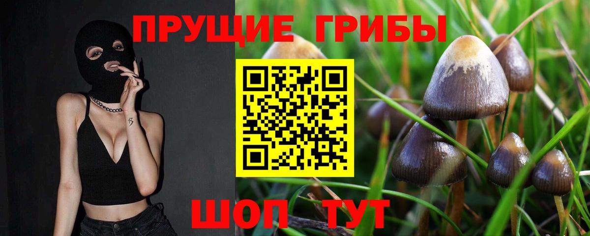 Галлюциногенные грибы MAGIC MUSHROOMS Владимир